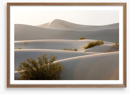 Desert