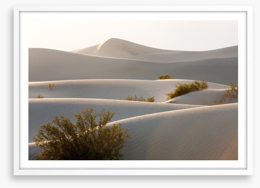 Desert