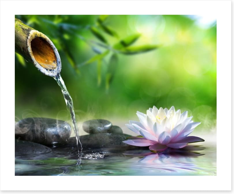 Flowing zen garden