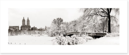 Central Park winter