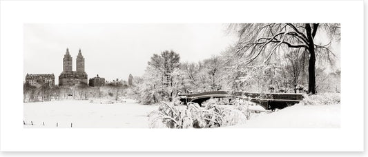 Central Park winter