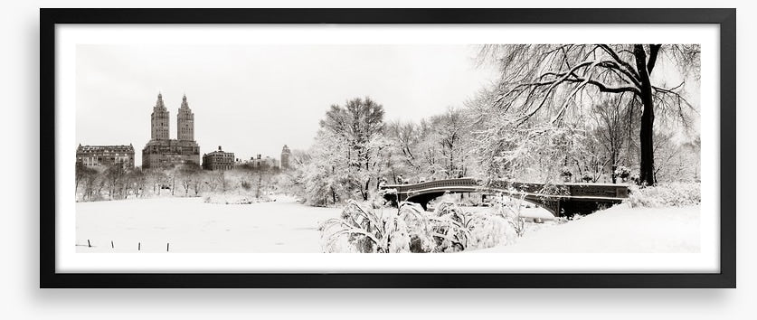 Central Park winter