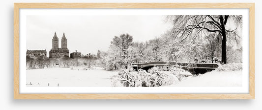 Central Park winter