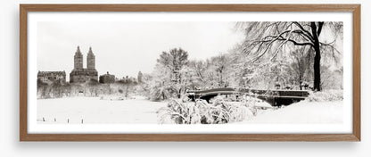 Central Park winter