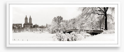 Central Park winter