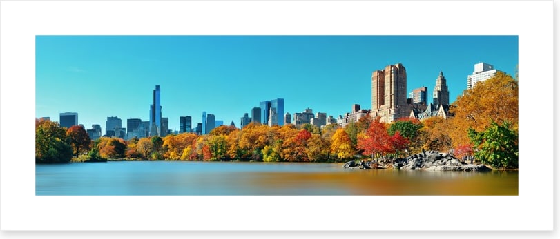 Central Park in Autumn