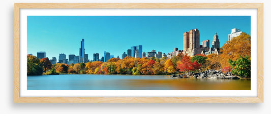 Central Park in Autumn