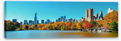 Central Park in Autumn
