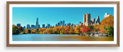 Central Park in Autumn