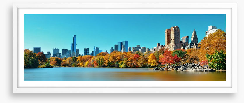 Central Park in Autumn