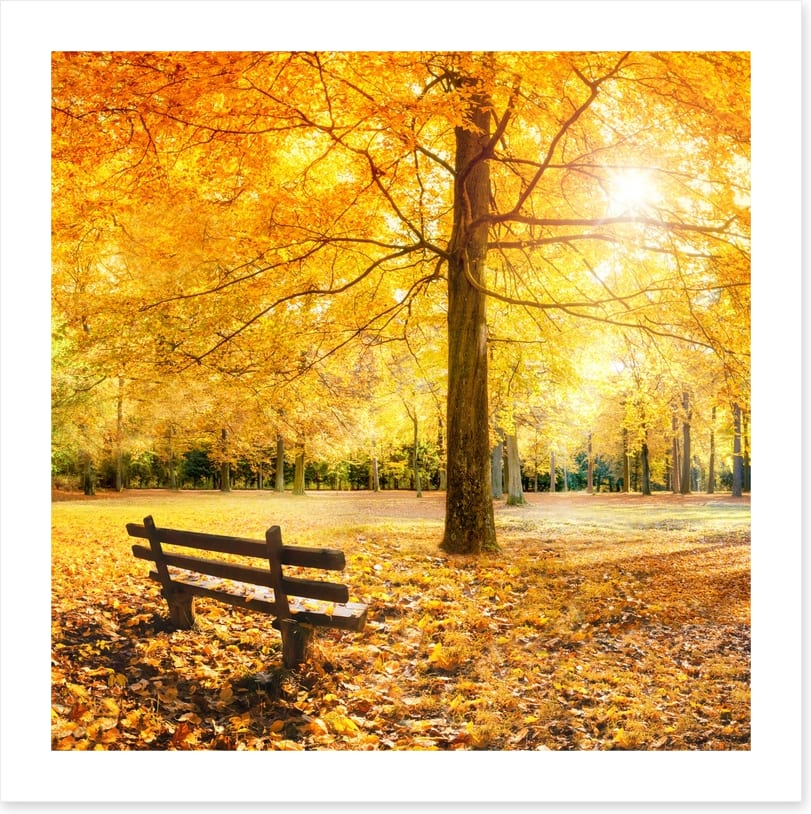 A golden moment
