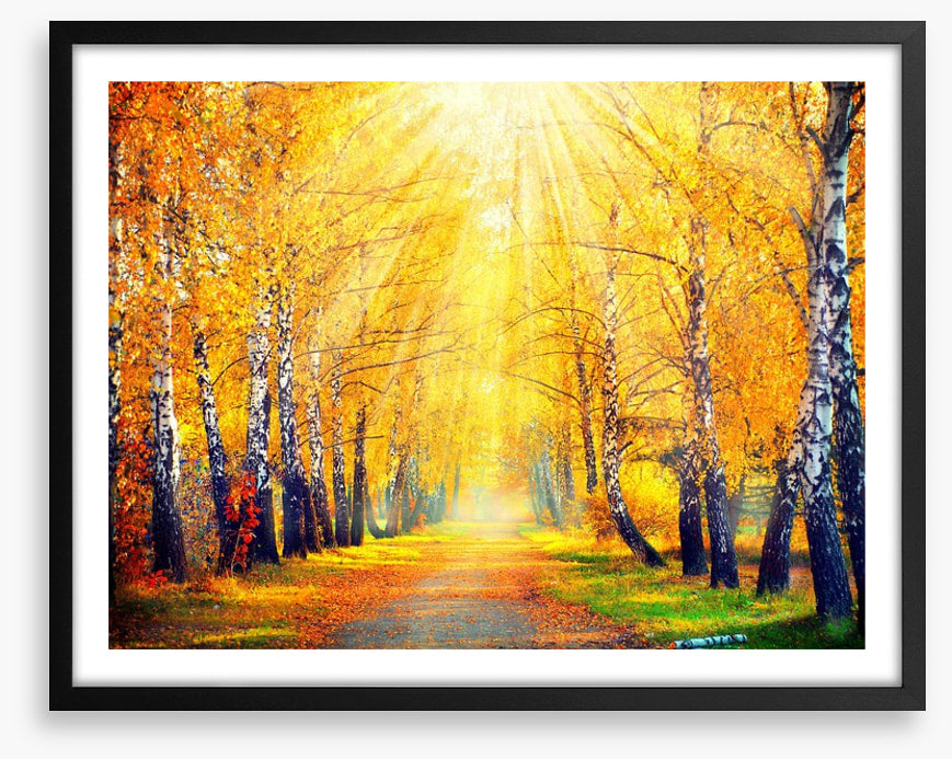 Golden sunbeam path