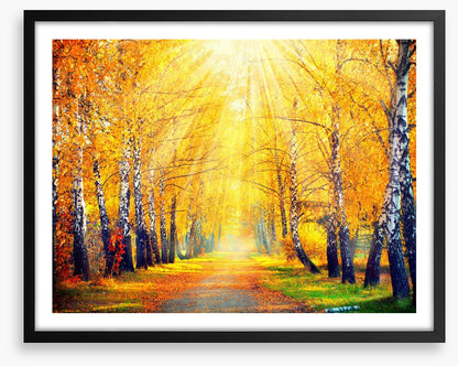 Golden sunbeam path