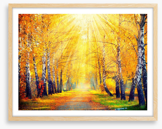 Golden sunbeam path