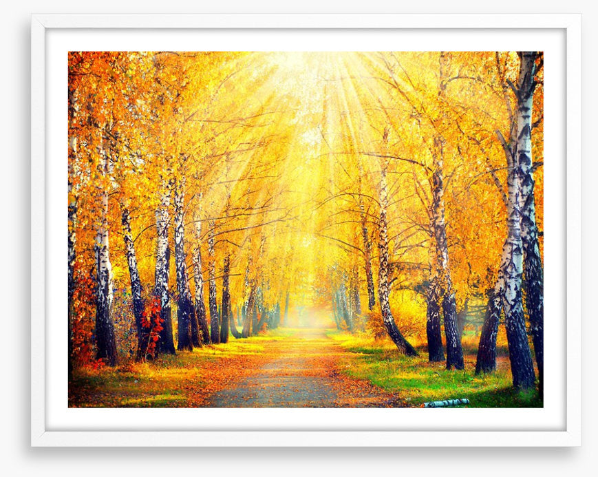 Golden sunbeam path