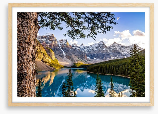 Moraine Lake mountains