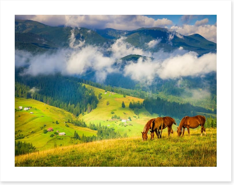 Three horse hill