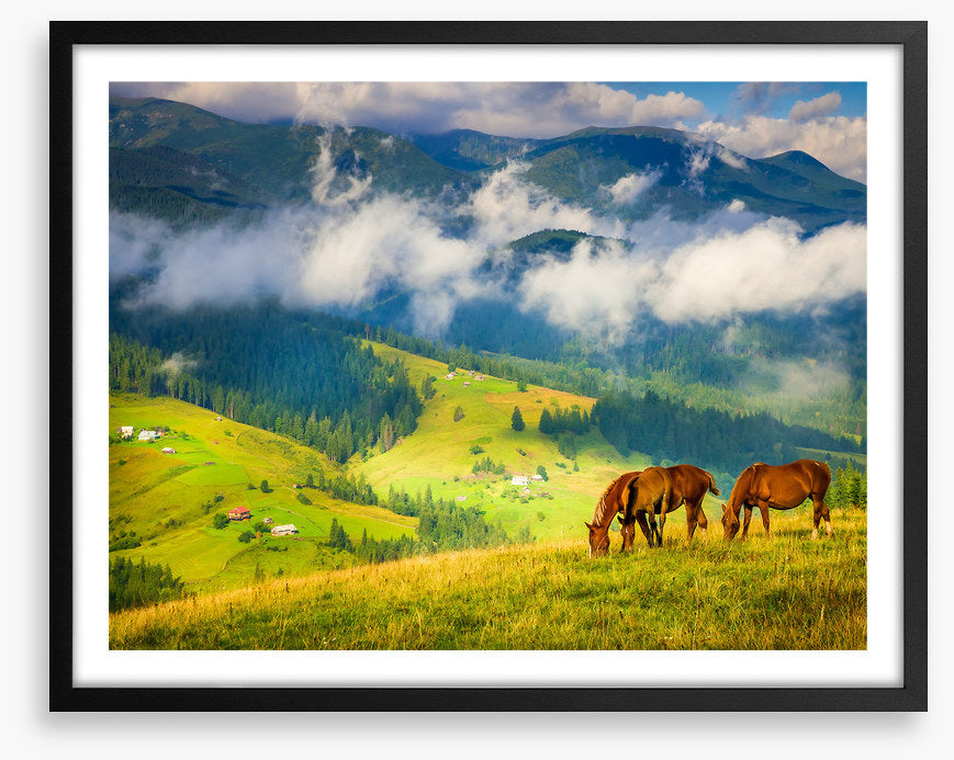 Three horse hill