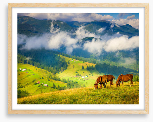 Three horse hill