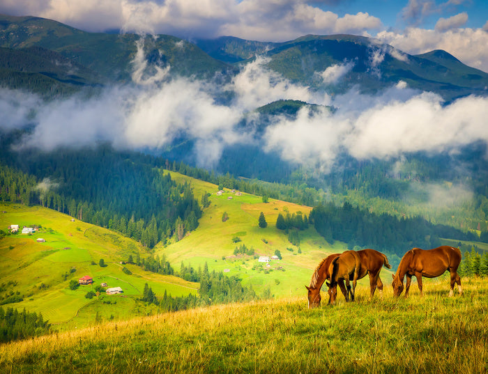 Three horse hill