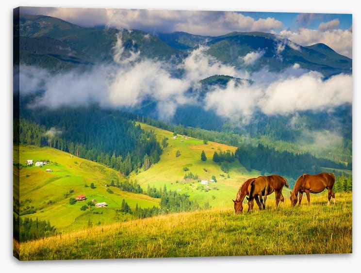Three horse hill