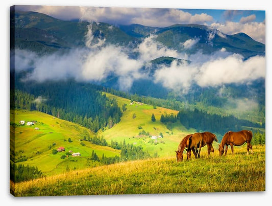Three horse hill