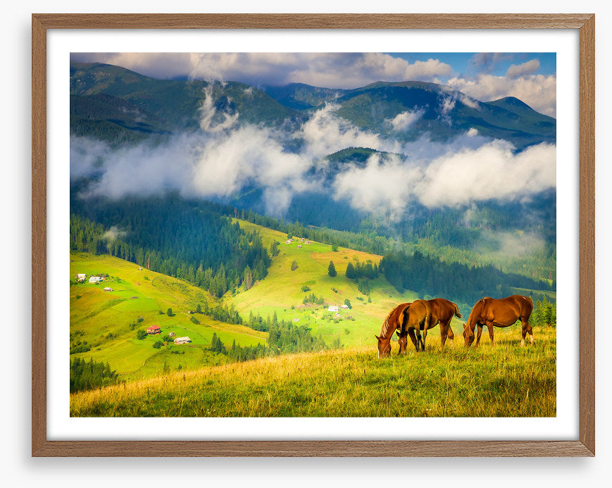 Three horse hill