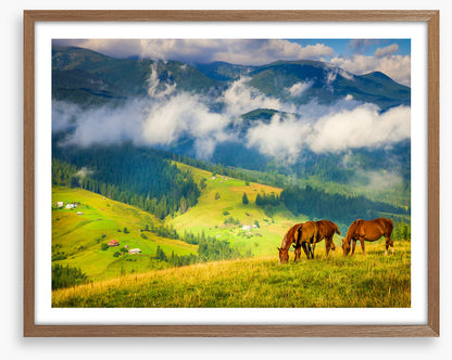 Three horse hill