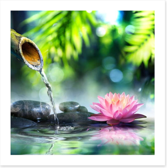 Zen water garden