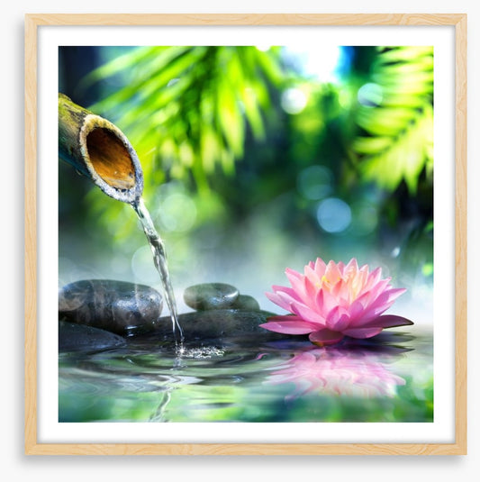Zen water garden