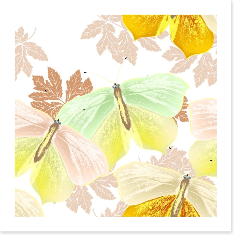 Butterflies