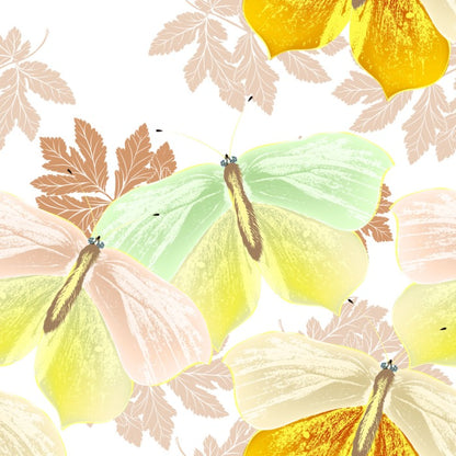 Butterflies
