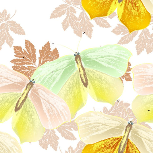 Butterflies