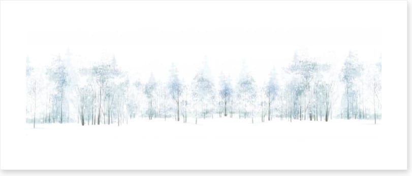 Forest freeze