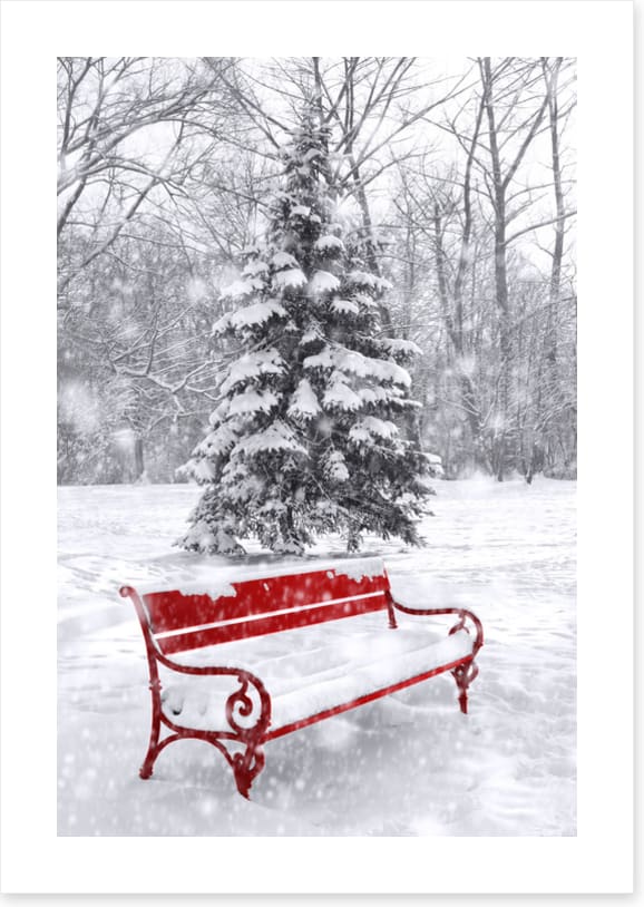 A seat in the snow