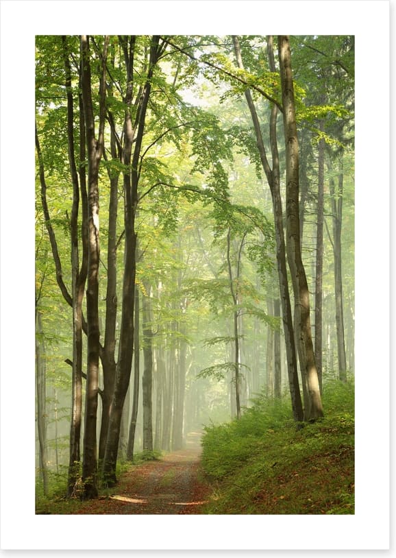 Solitary hike