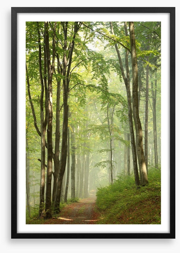 Solitary hike