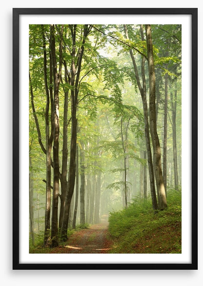 Solitary hike