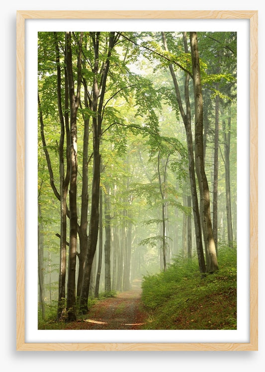 Solitary hike