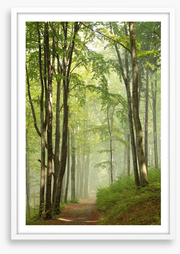 Solitary hike