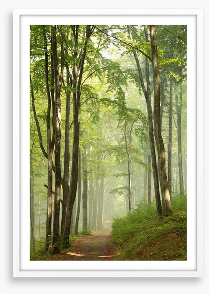 Solitary hike
