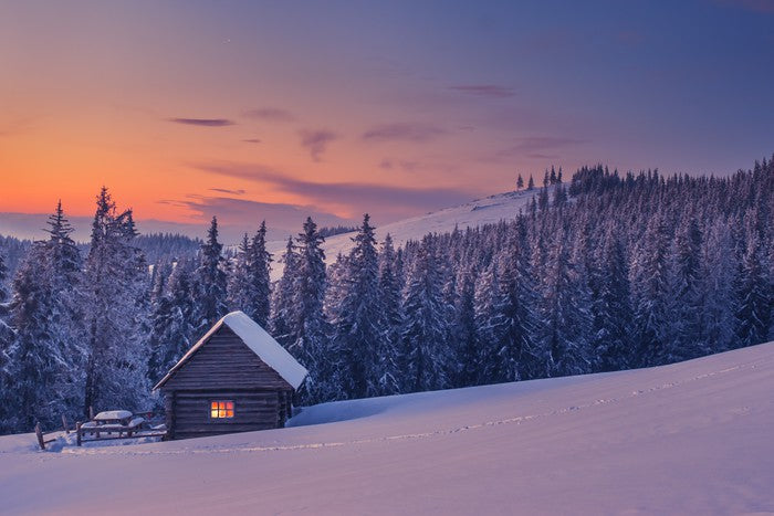 The cabin in the snow