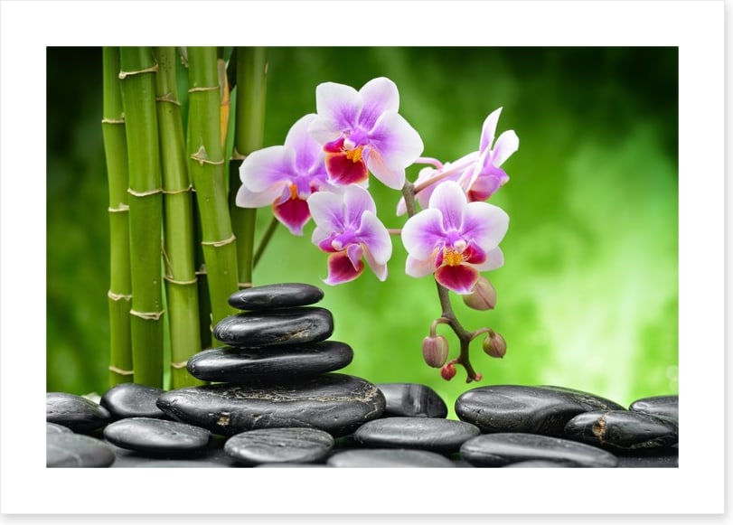 The balance of harmony