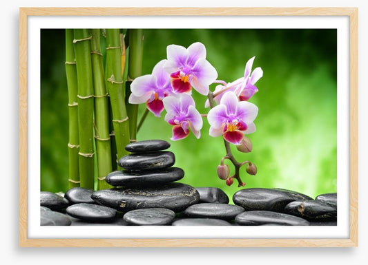 The balance of harmony