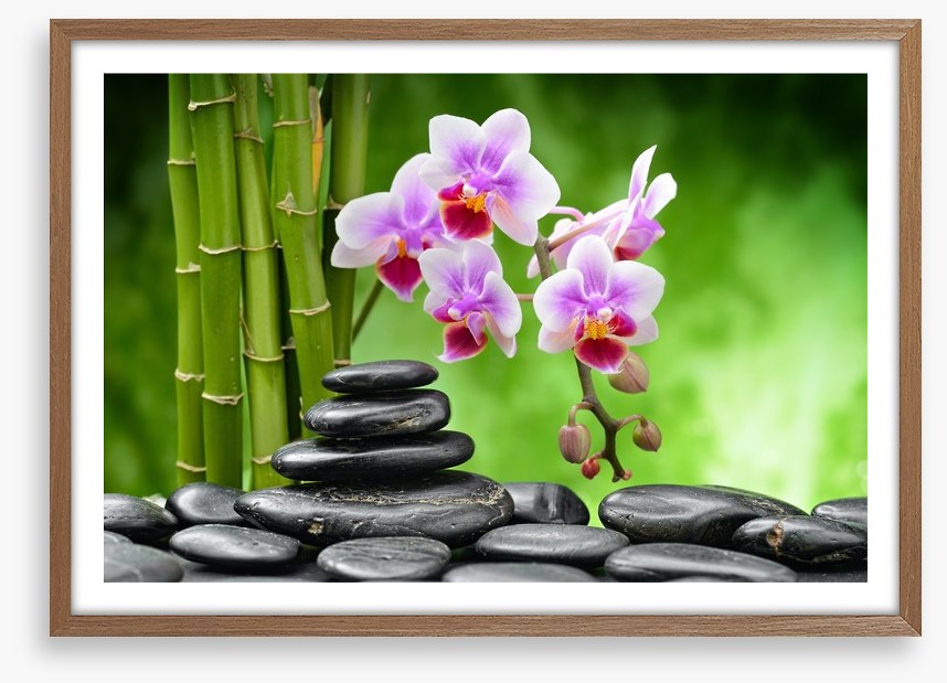 The balance of harmony
