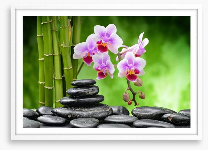 The balance of harmony