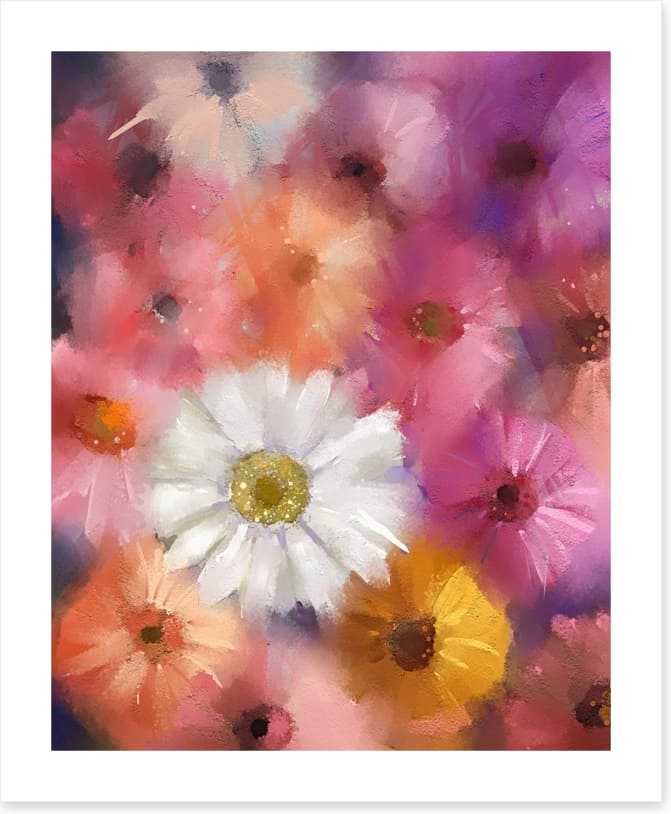 The white gerbera