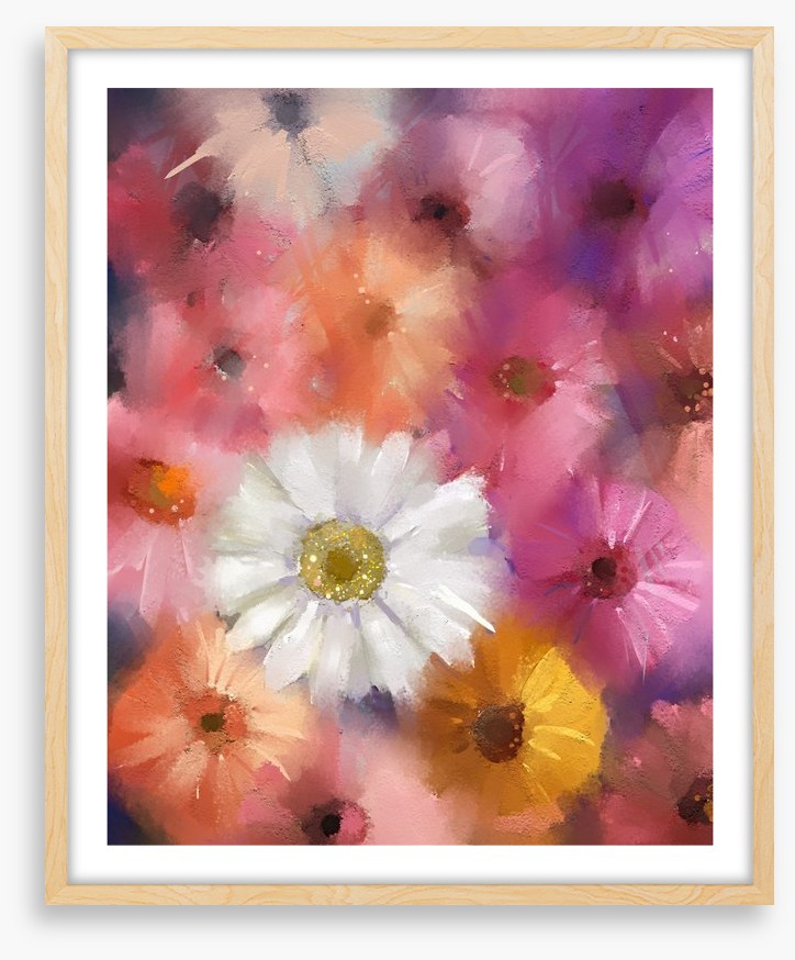 The white gerbera