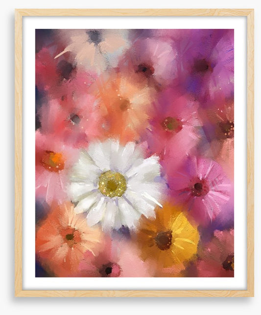 The white gerbera