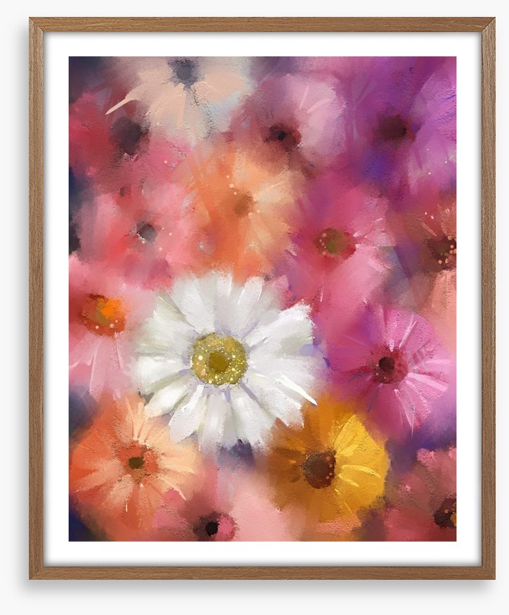 The white gerbera